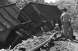 Thumbnail scan044.jpg 
