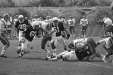 Thumbnail scan144.jpg 