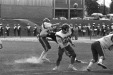Thumbnail scan146.jpg 