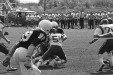 Thumbnail scan149.jpg 