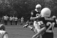 Thumbnail scan161.jpg 