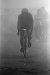 Thumbnail scan071.jpg 