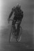 Thumbnail scan133.jpg 