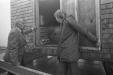 Thumbnail scan059.jpg 