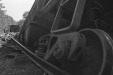 Thumbnail scan061.jpg 