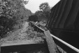 Thumbnail scan064.jpg 