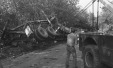 Thumbnail bb1492.jpg 