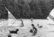 Thumbnail bb729.jpg 