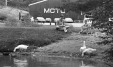 Thumbnail bb718.jpg 