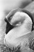 Thumbnail bb719.jpg 