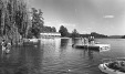 Thumbnail bb707.jpg 
