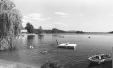Thumbnail bb714.jpg 
