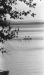 Thumbnail bb1053.jpg 