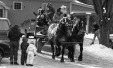 Thumbnail bb1999.jpg 