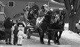Thumbnail bb2001.jpg 