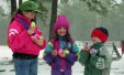 Thumbnail bb1863.jpg 