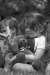 Thumbnail bb1990.jpg 