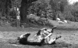 Thumbnail bb2021.jpg 