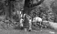 Thumbnail bb2026.jpg 