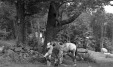 Thumbnail bb2027.jpg 