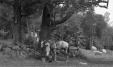 Thumbnail bb2028.jpg 
