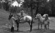 Thumbnail bb2032.jpg 