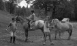 Thumbnail bb2033.jpg 