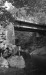 Thumbnail bb2015.jpg 