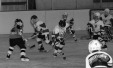 Thumbnail bb2249.jpg 