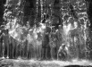 Thumbnail bb2058.jpg 