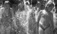 Thumbnail bb2069.jpg 